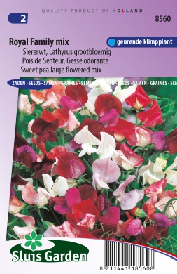 Reukerwt Royal Family Mix (Lathyrus odoratus) 30 zaden SL